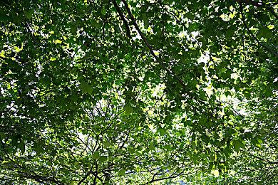 《WarFrame：1999》续集《科腐者安可》上线，全新战甲震撼来袭